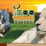 Zoo Safari w Borysewie